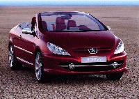 307 307 CC 307 307 CC