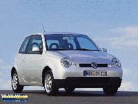 Lupo Lupo Lupo Lupo