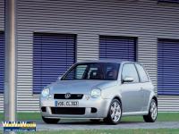 Lupo lupo Lupo lupo