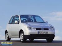 Lupo Lupo Lupo Lupo