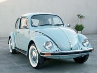  Beetle Last Edition