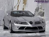  SLR