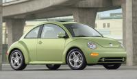 New Beetle Beetle