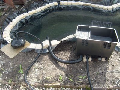 Blog de magicmanu : Aménagement de notre maison, Bassin de jardin - La filtration