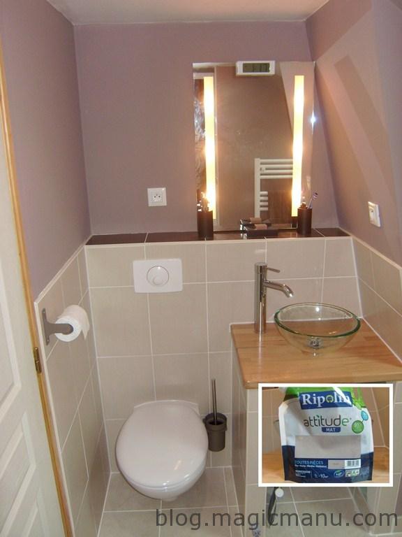 Blog de magicmanu :Aménagement de notre maison, Peinture Salle de Bain