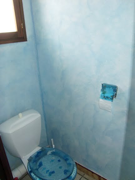 Blog de magicmanu :Aménagement de notre maison, Peinture des WC
